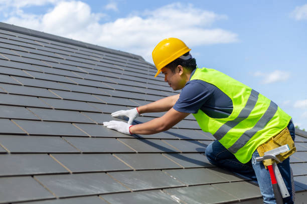 Roof Gutter Cleaning in White Pine, TN